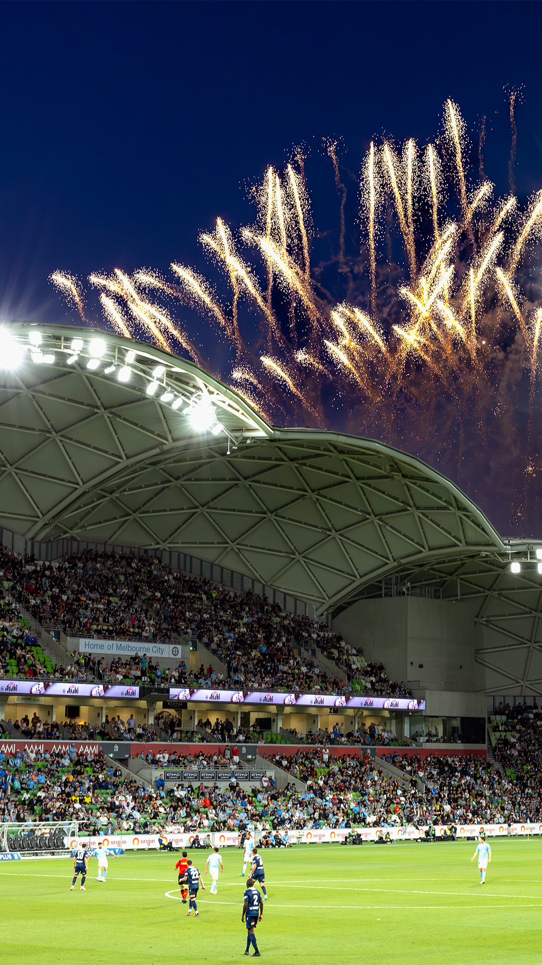 A packed crowd enjoying a football game at AAMI Park.